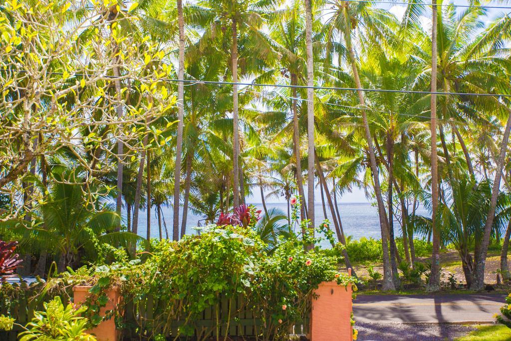 The Dolphin Cottage At Kehena Beach Exterior photo