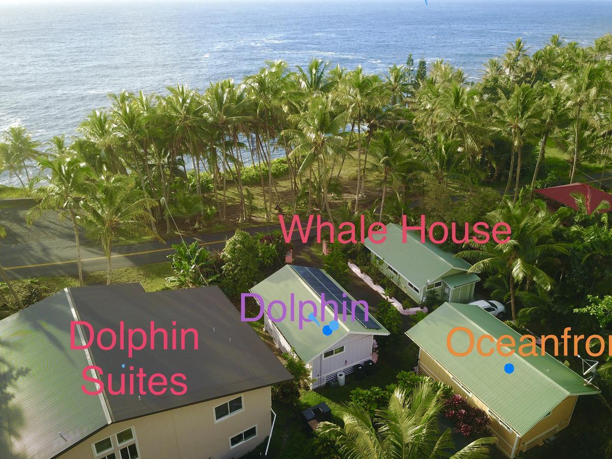 The Dolphin Cottage At Kehena Beach Exterior photo