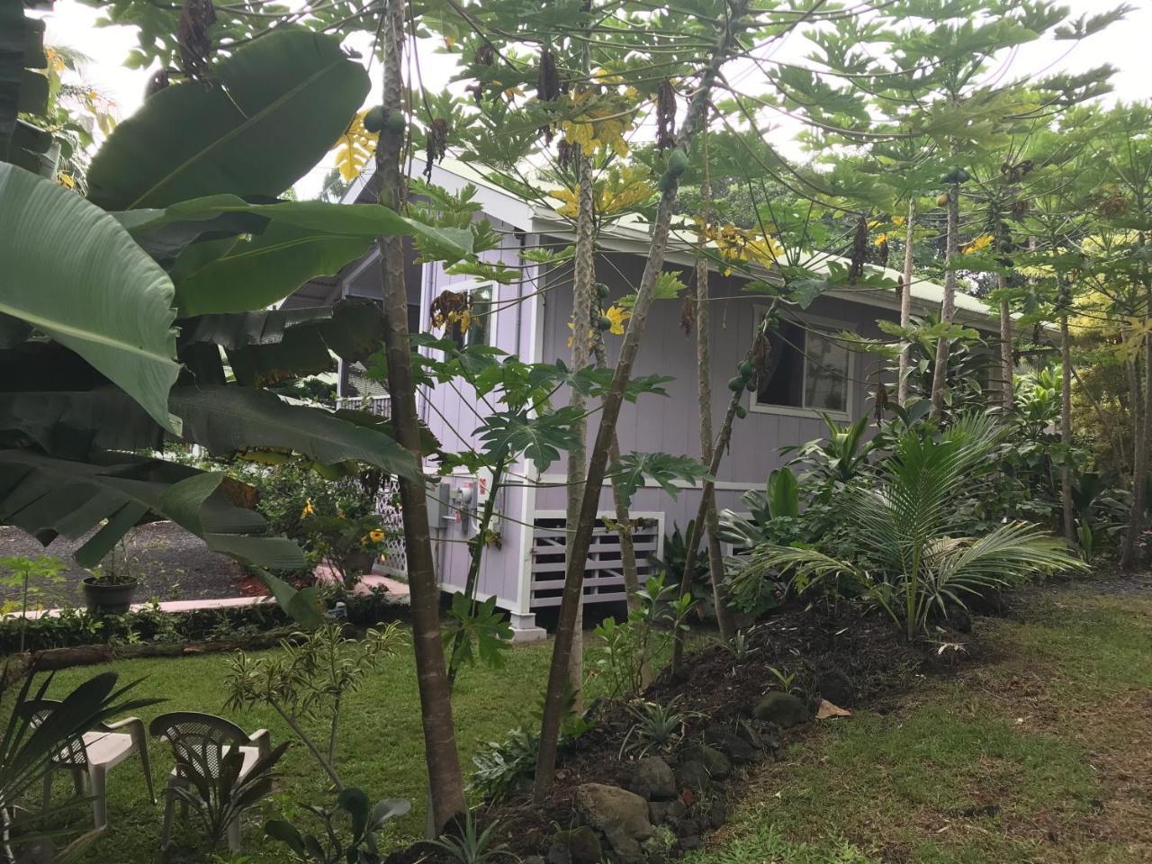 The Dolphin Cottage At Kehena Beach Exterior photo